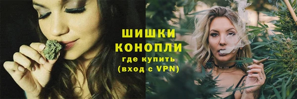 винт Лабытнанги